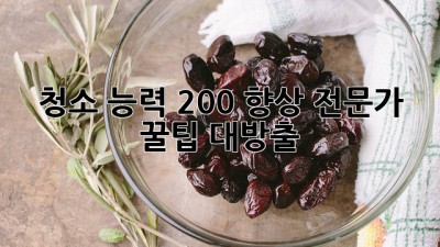 ✨청소 능력 200% 향상! 전문가 꿀팁 대방출✨